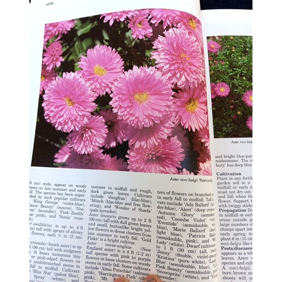 A–Z of Perennials – Reader's Digest Successful Gardening Series 1990, Hardcover - Picture 5 of 14